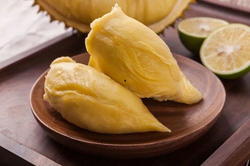 榴莲视频日韩片成人版,日韩片成人版背后的秘密与诱惑