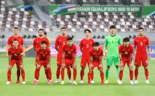 日韩人评价足球队员视频,球员风采与实力解析