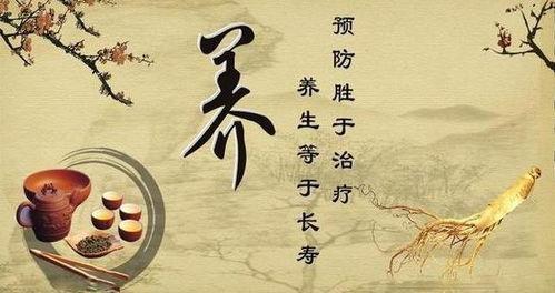 日韩养生续命秘诀大全视频,养生续命视频精华汇总